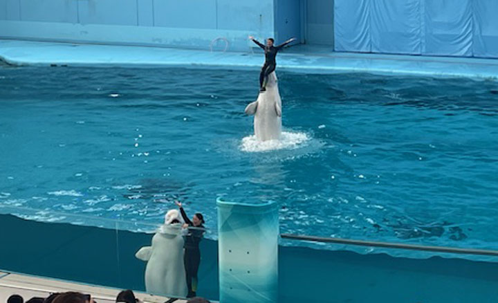 シャローム浦上台