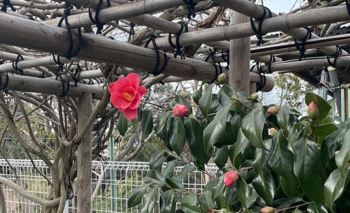 シャローム浦上台